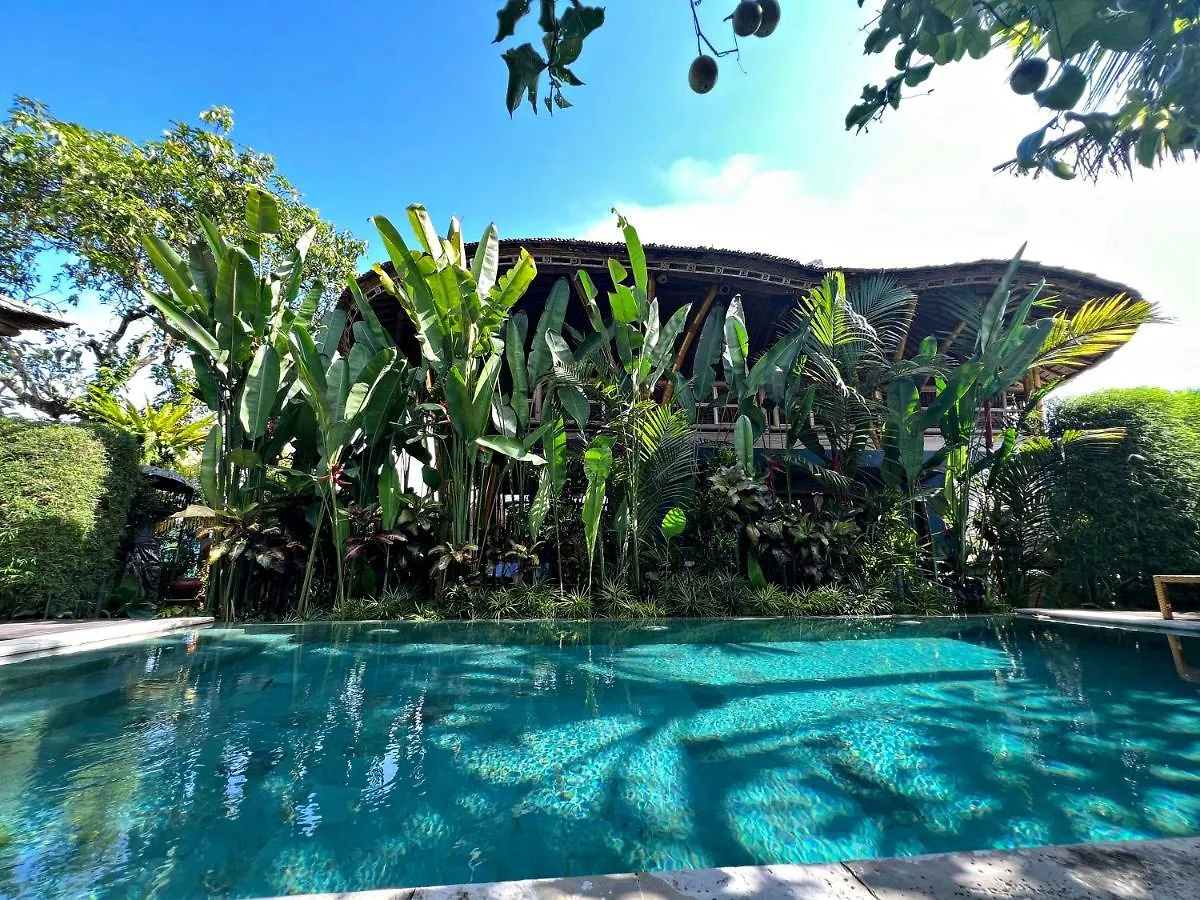 Bed & Breakfast Joyously Raw Villas - Free Room Upgrade Subject To Availability Ubud